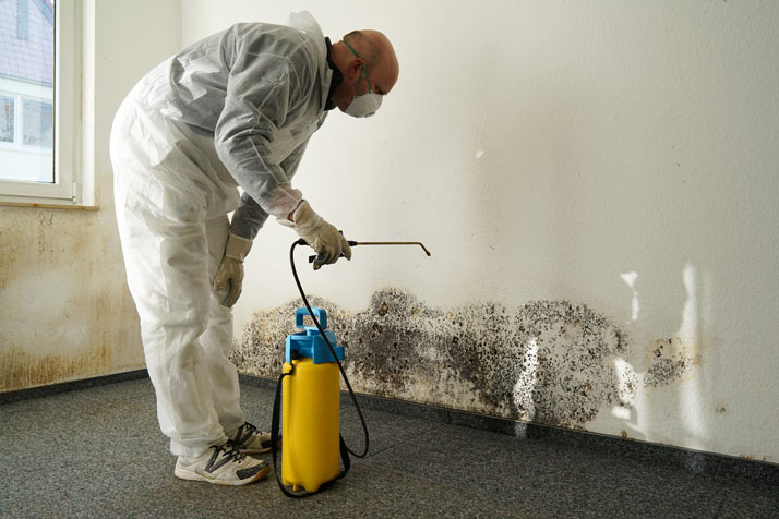 Carpet Cleaning Pros Tucson Mold Removal
