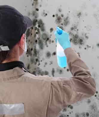 Mold Remediation: A Crucial Part Of Property Care