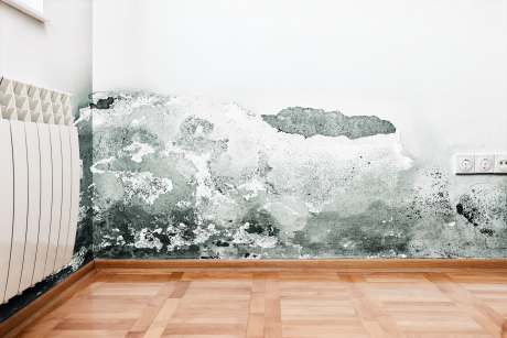 tucson_mold_removal